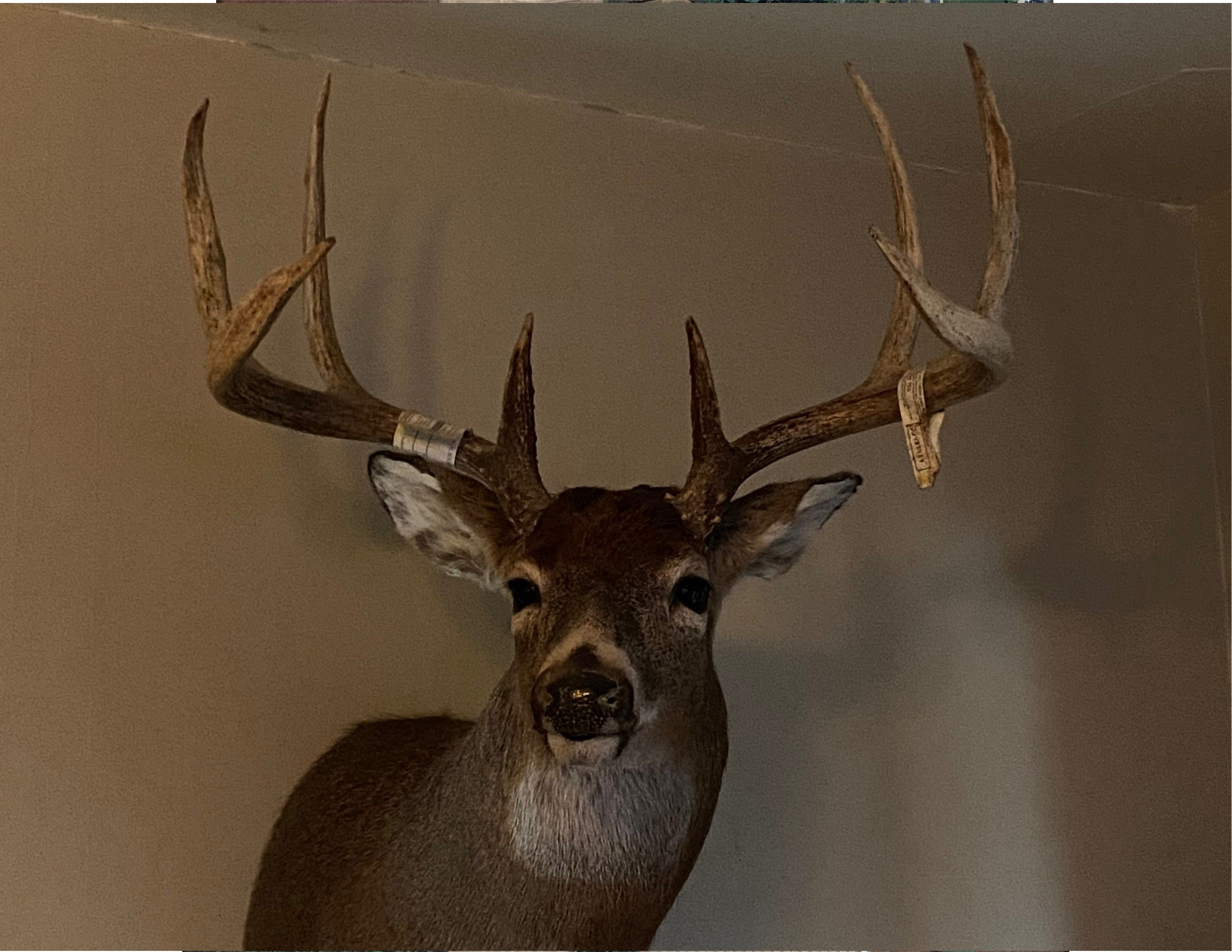 Listing Photo: Deer Marine 7